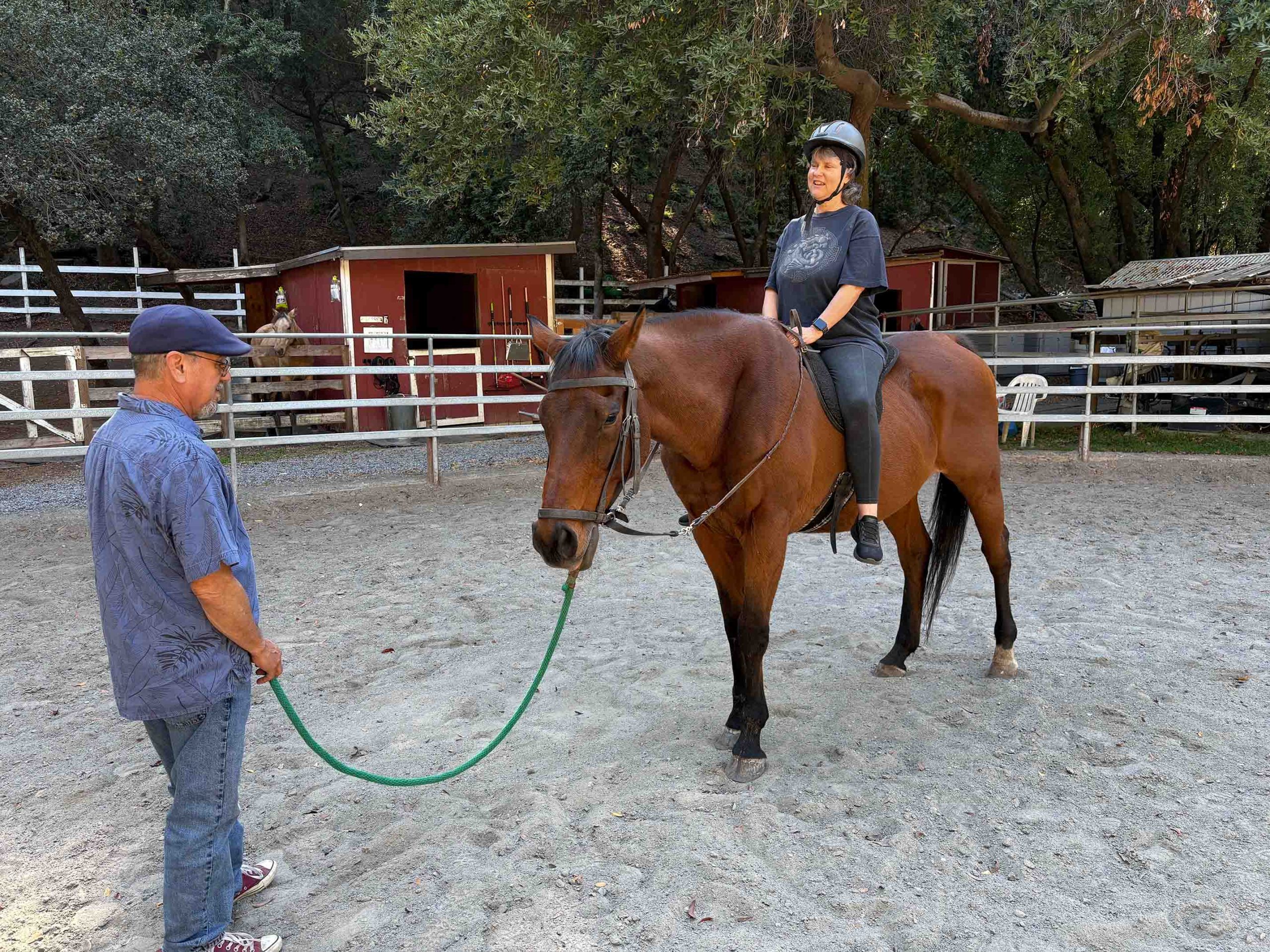 Equine-Insight_00012