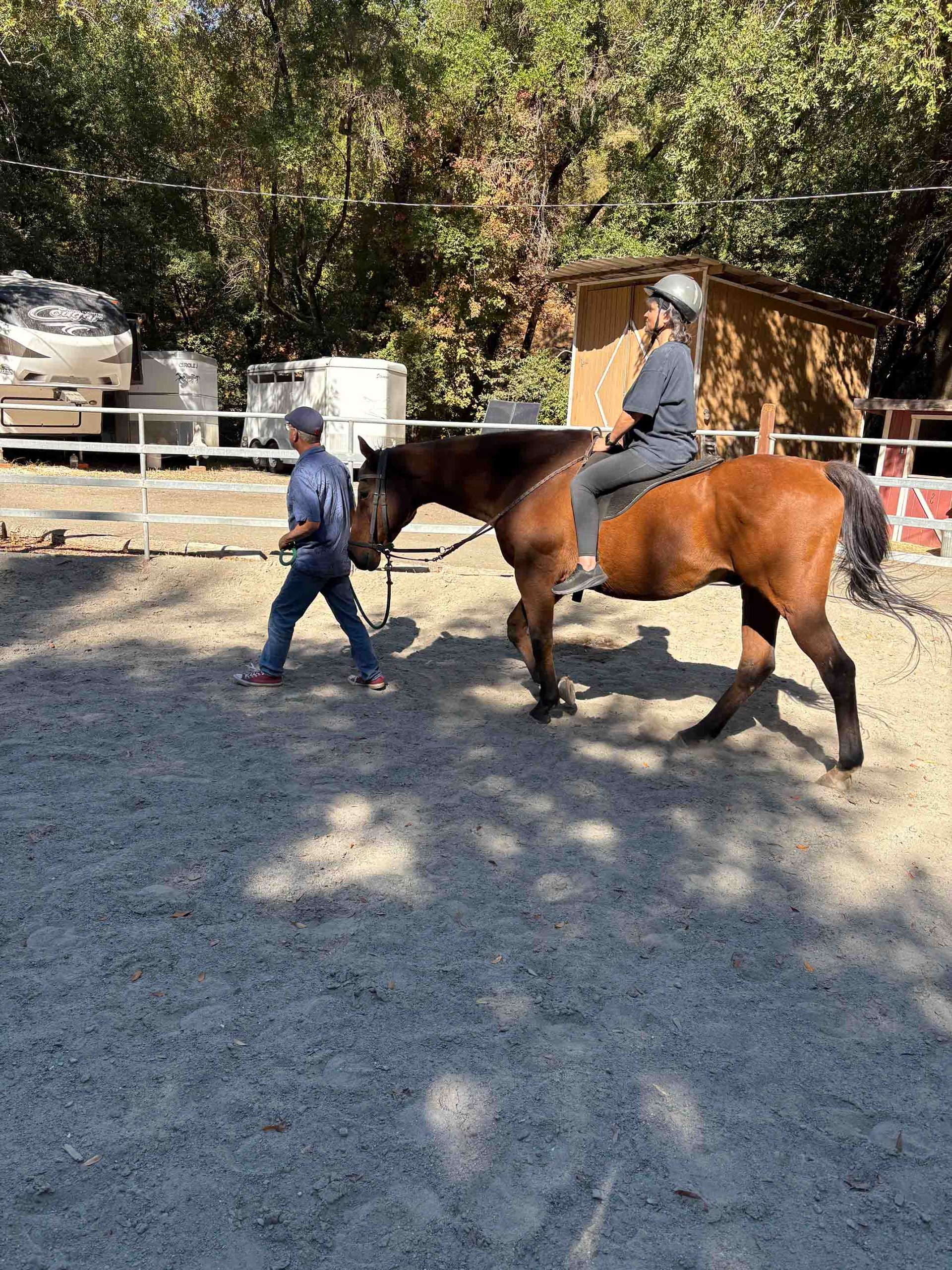 Equine-Insight_00013