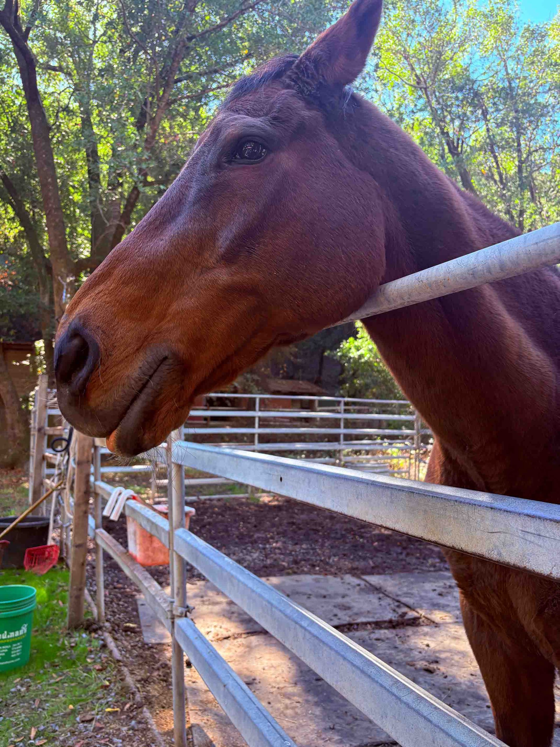 Souly_00001_Optimized