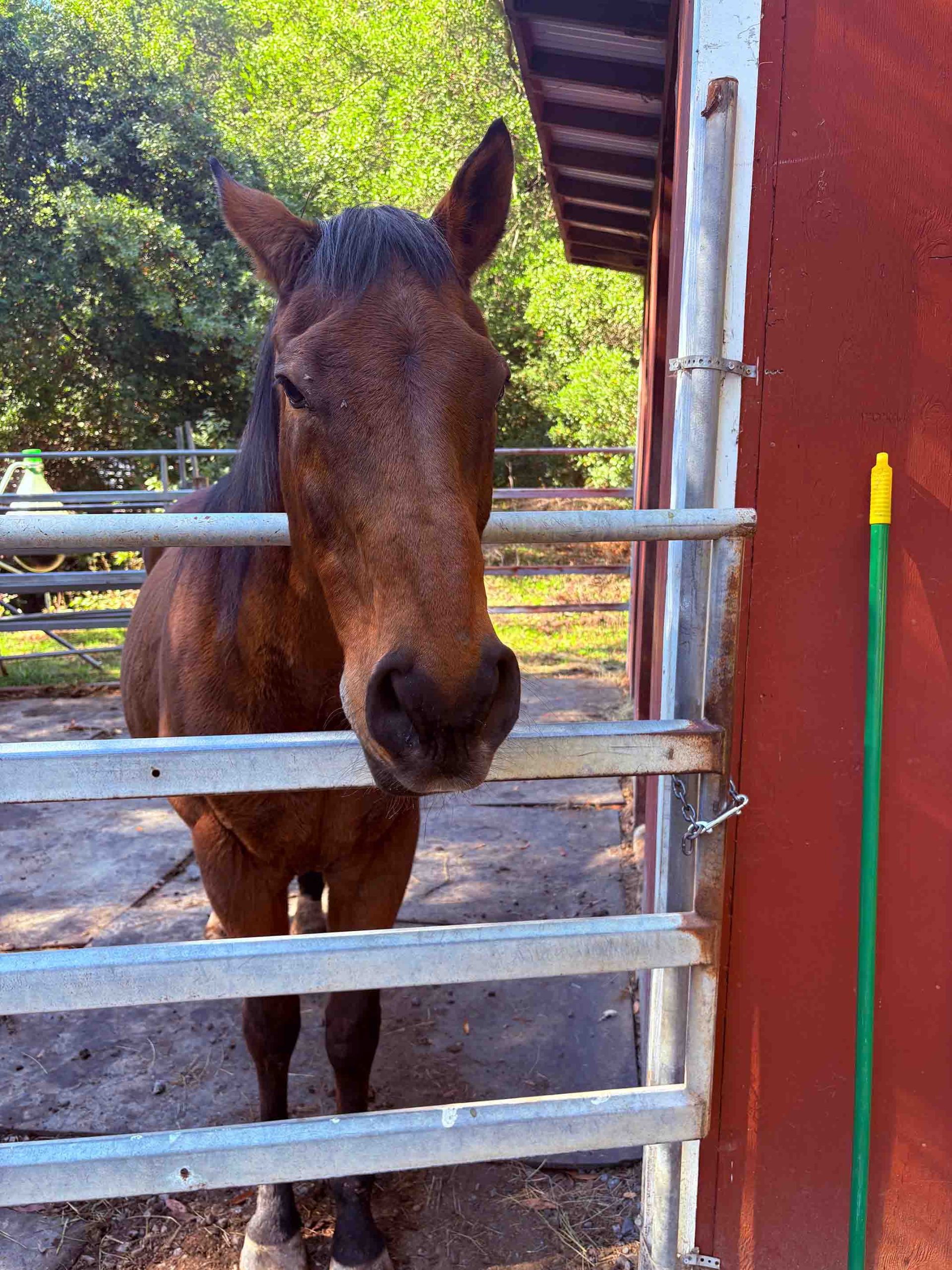 Souly_00003_Optimized